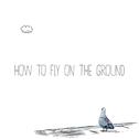 How To Fly On The Ground专辑
