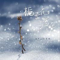 白允y、孙才垣 - 栀子花与雪花 (和声)伴奏