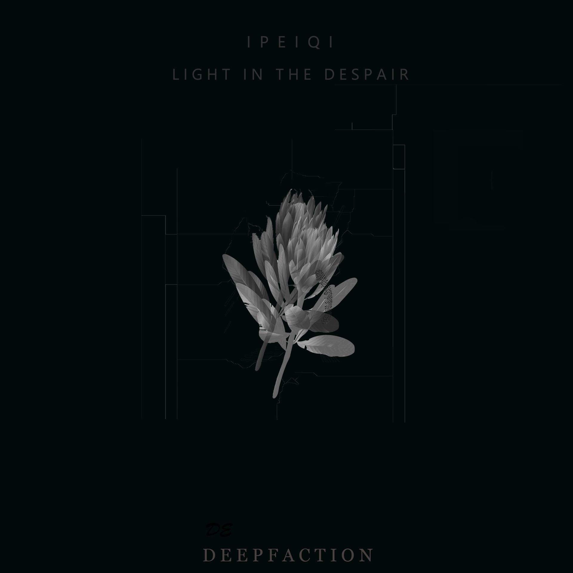 Light In The Despair专辑