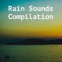 14 The Best Rain and Nature Sounds. Real Rain Sounds for Sleep and Meditation专辑