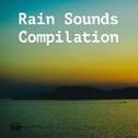 14 The Best Rain and Nature Sounds. Real Rain Sounds for Sleep and Meditation专辑