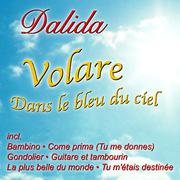 Volare - Dans le bleu du ciel