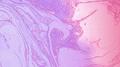 REMOVE专辑
