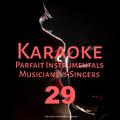 Karaoke Parfait Instrumentals Musicians & Singers, Vol. 29