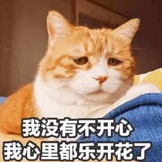 世界再好，每天也有不同的难过，丧一回吧！