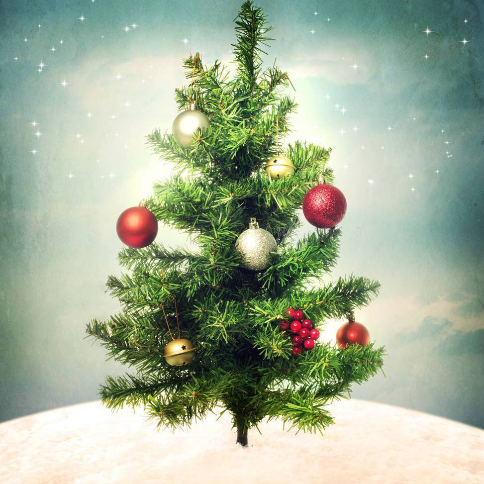 Merry Christmas Mr.Lawrence (UncleWang arrange)