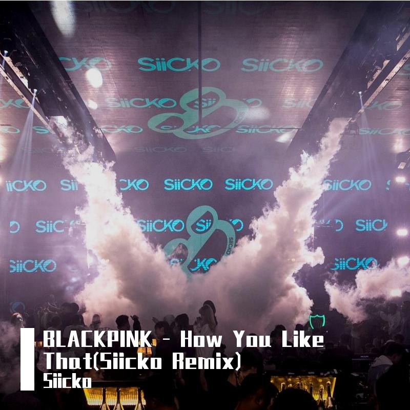 How You Like That(Siicko Remix)