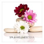 Spa & Wellness in Asia专辑