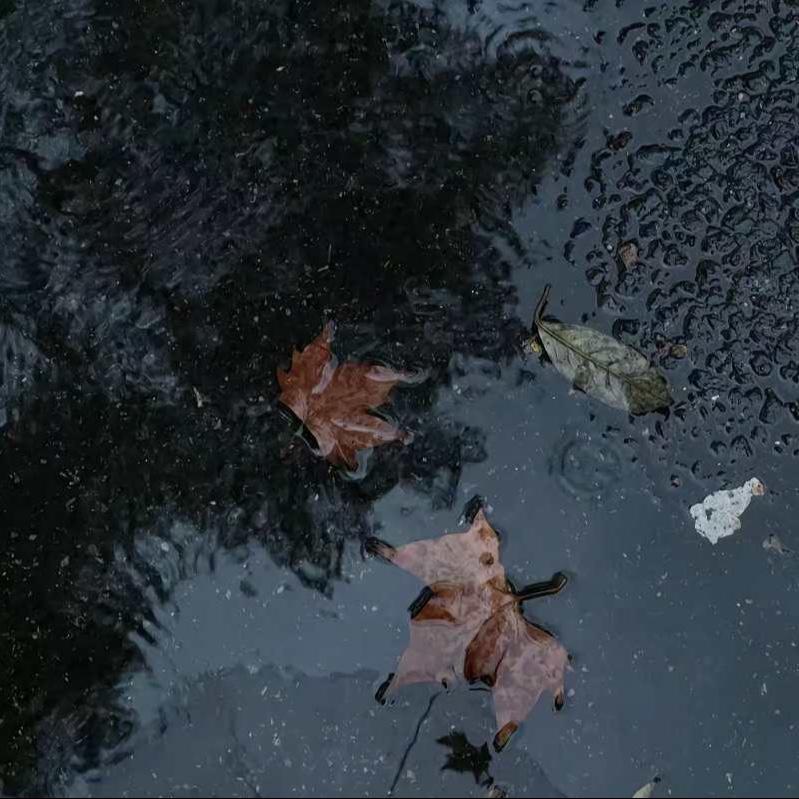 下一场雨