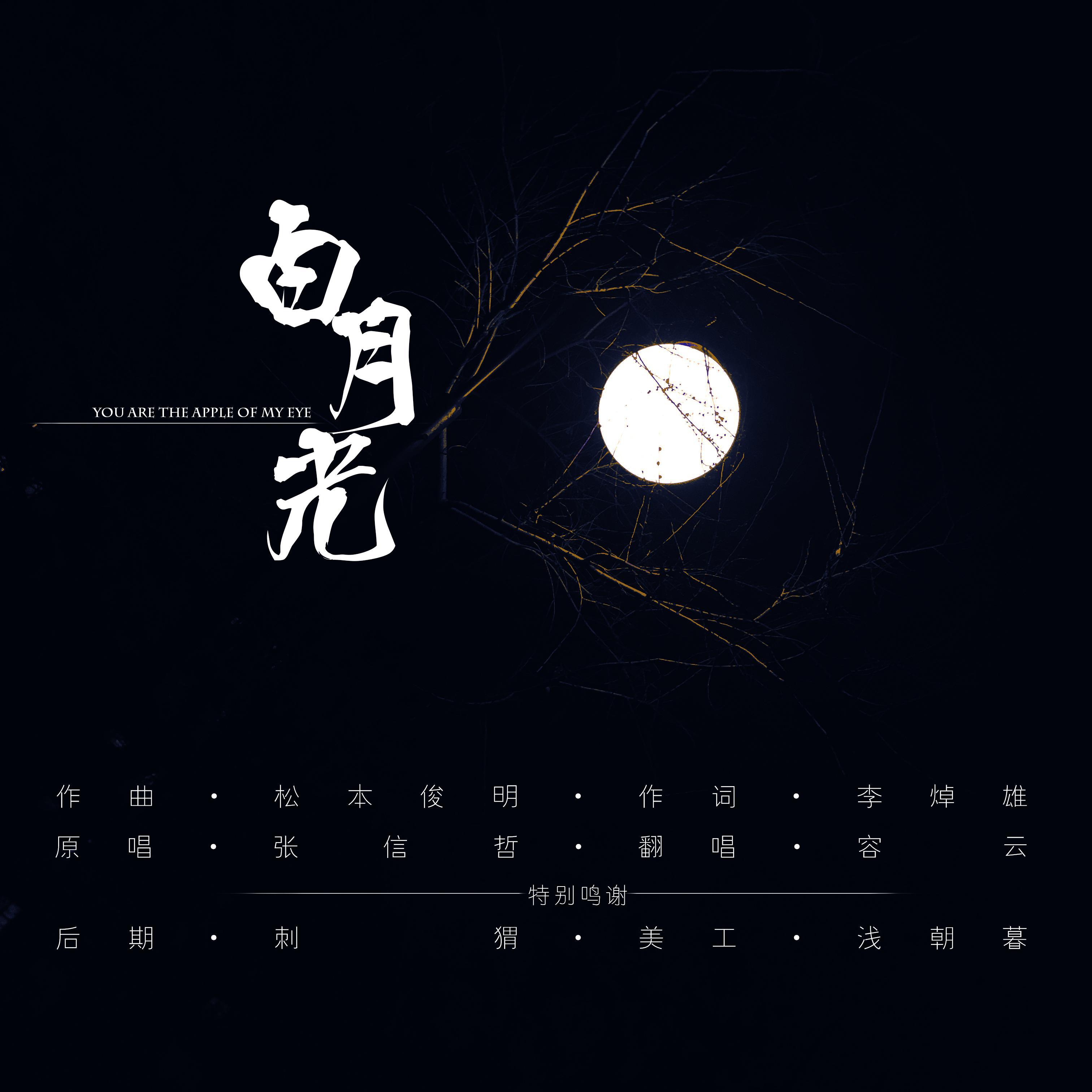 会忧伤的白月光