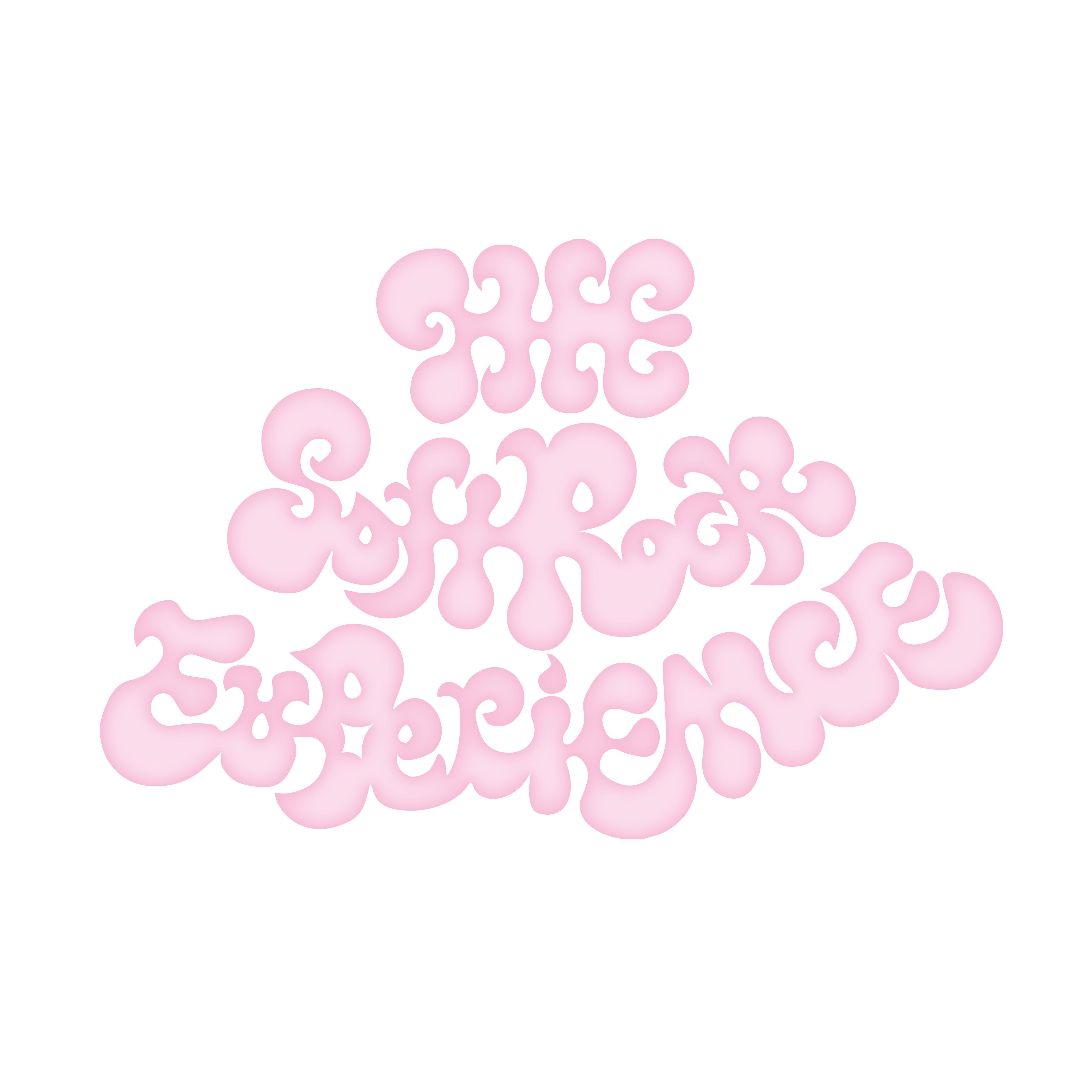 The Soft Rock Experience