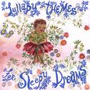 Lullaby Themes for Sleepy Dreams专辑