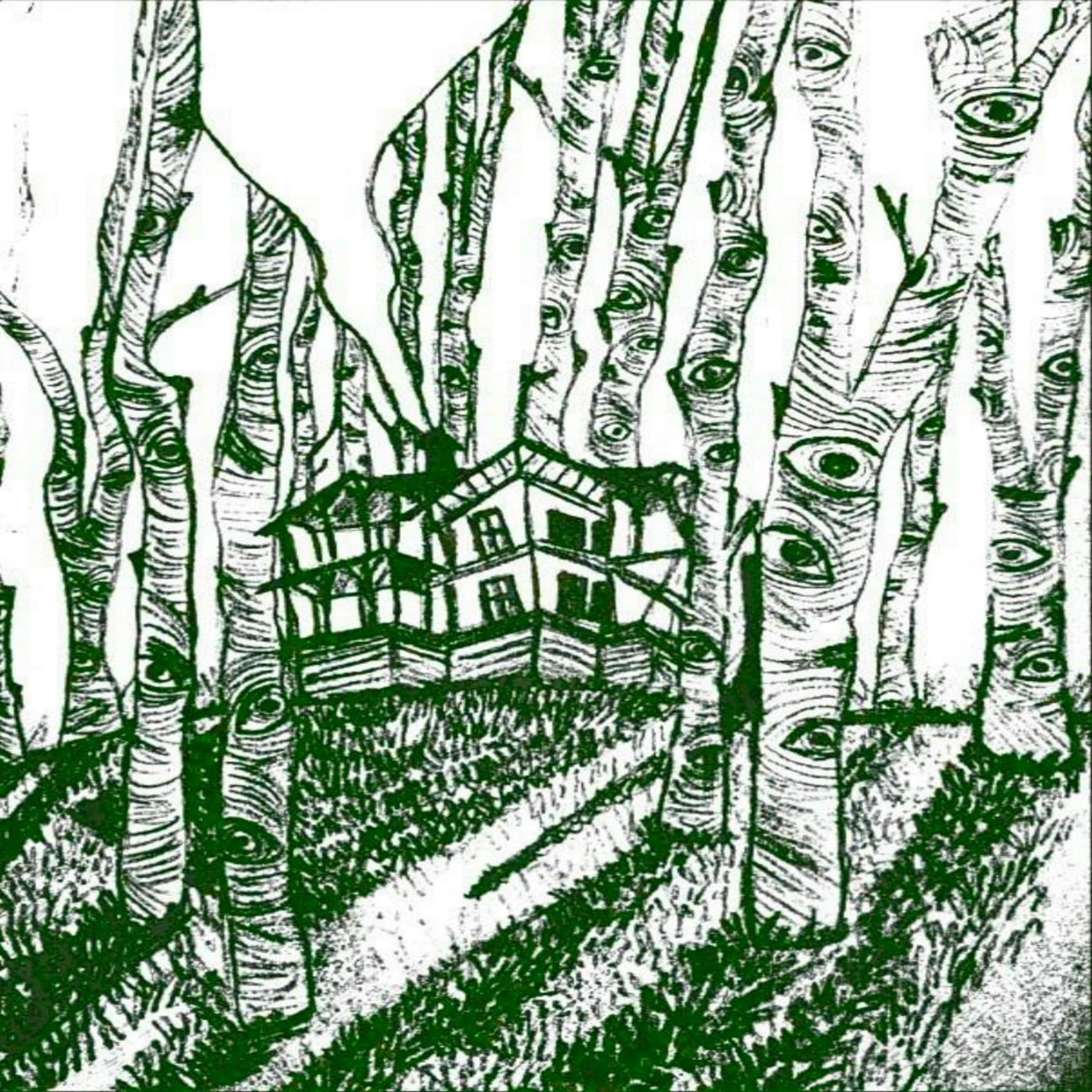 The Forest Is Watching