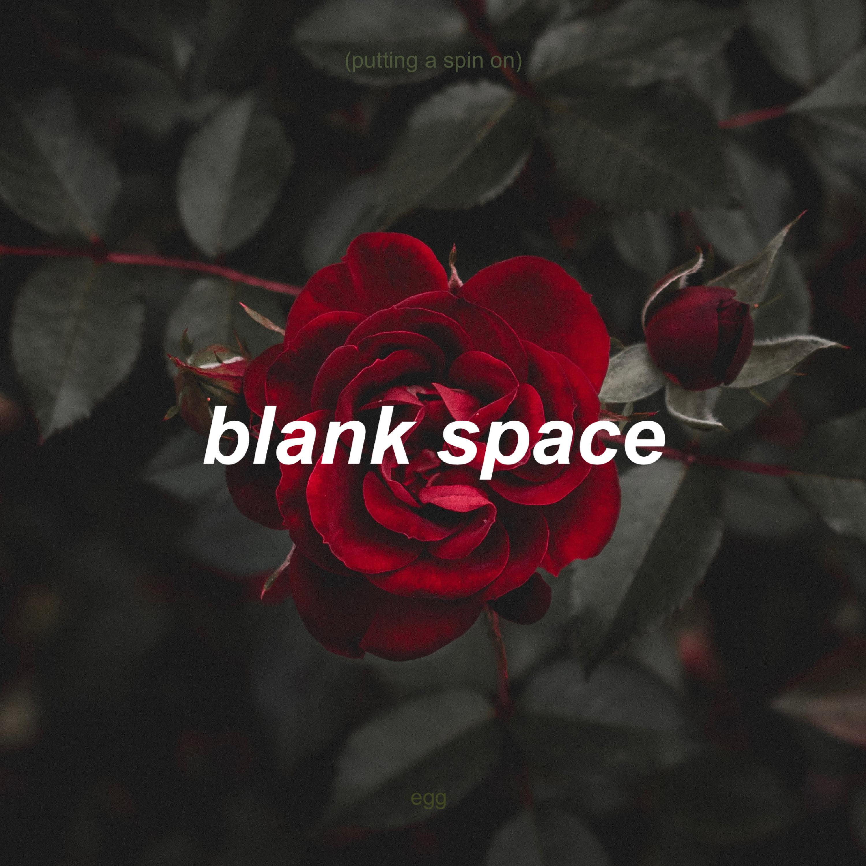 putting a spin on blank space
