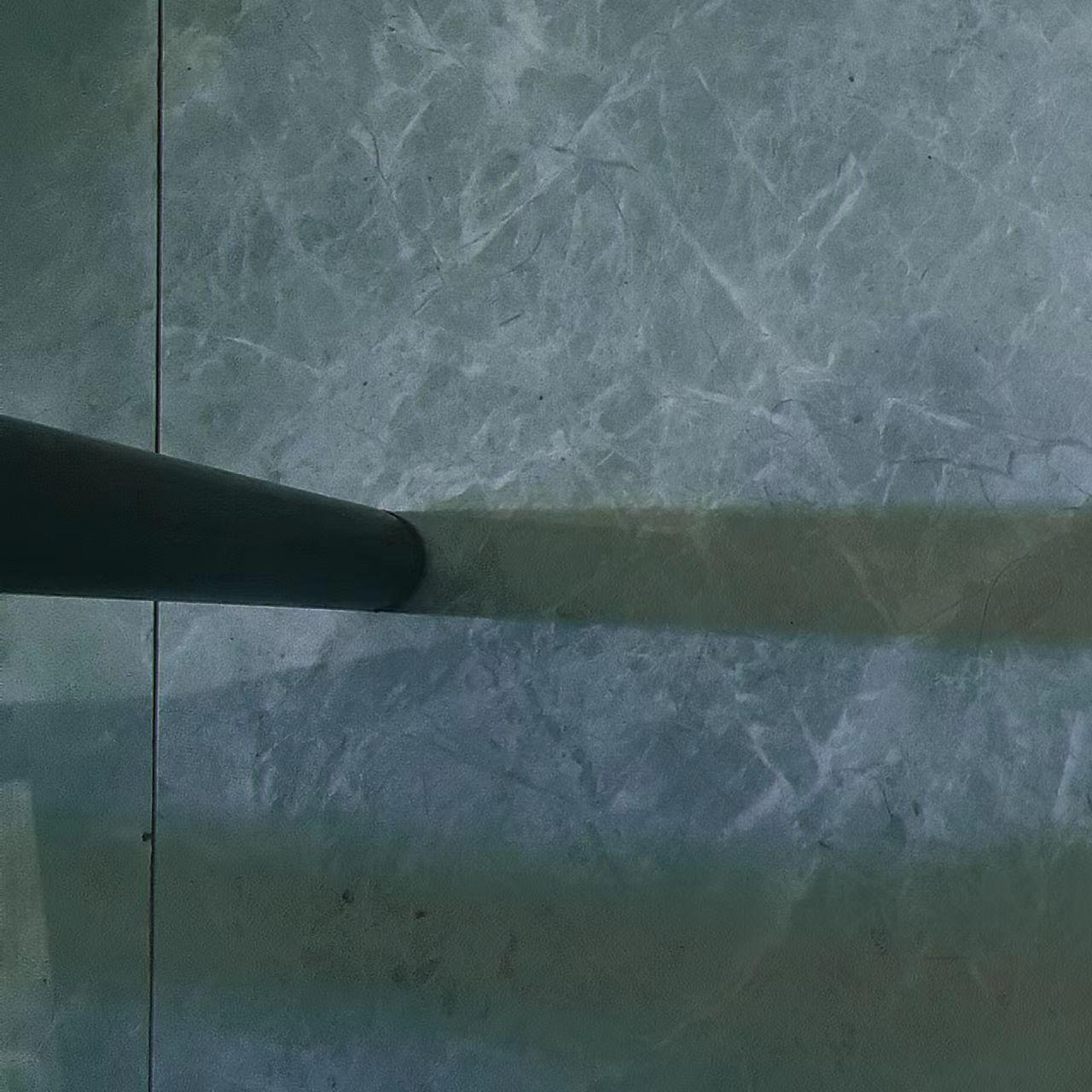 宿主或寄生体