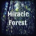 Miracle Forest (VIP Mix)