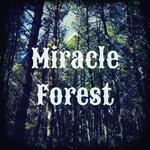 Miracle Forest (VIP Mix)专辑