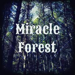 Miracle Forest (VIP Mix)