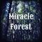 Miracle Forest (VIP Mix)专辑