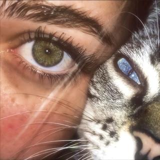 「欧美R&B Trap」迷醉旋律幻境