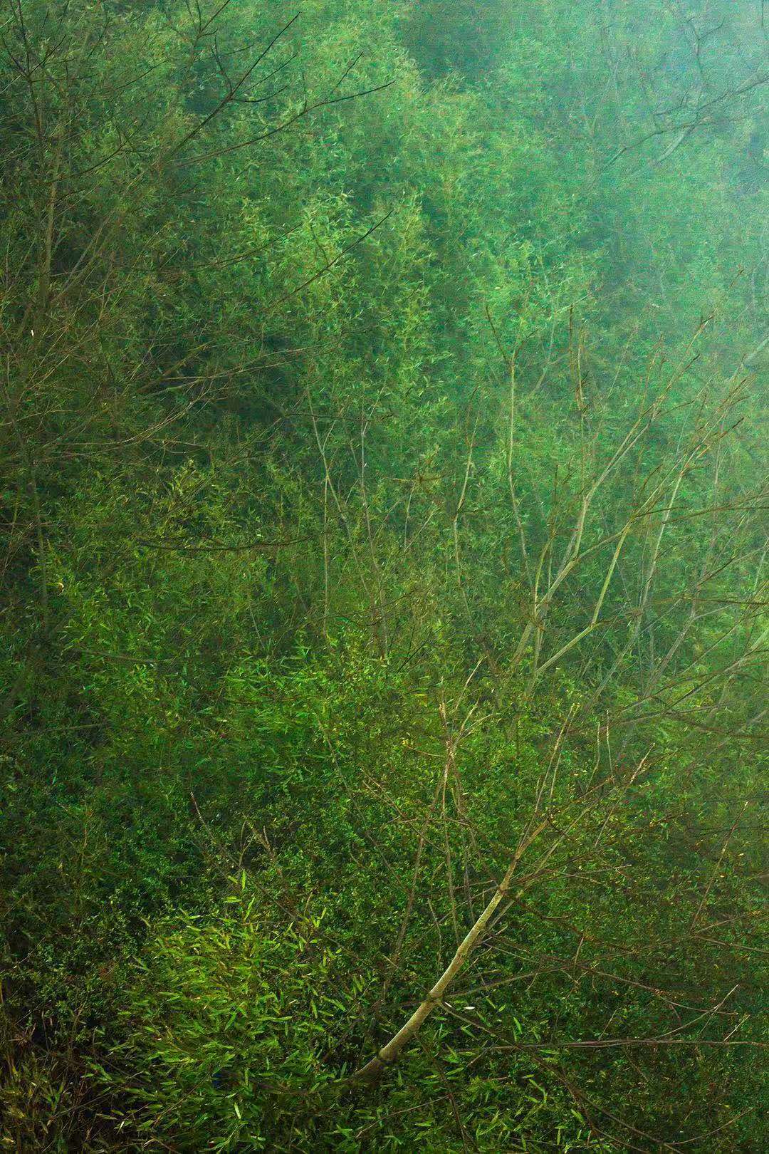 禅春