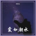 爱如潮水专辑