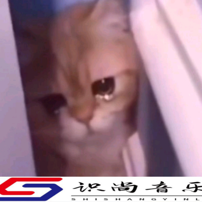 网抑郁安眠曲
