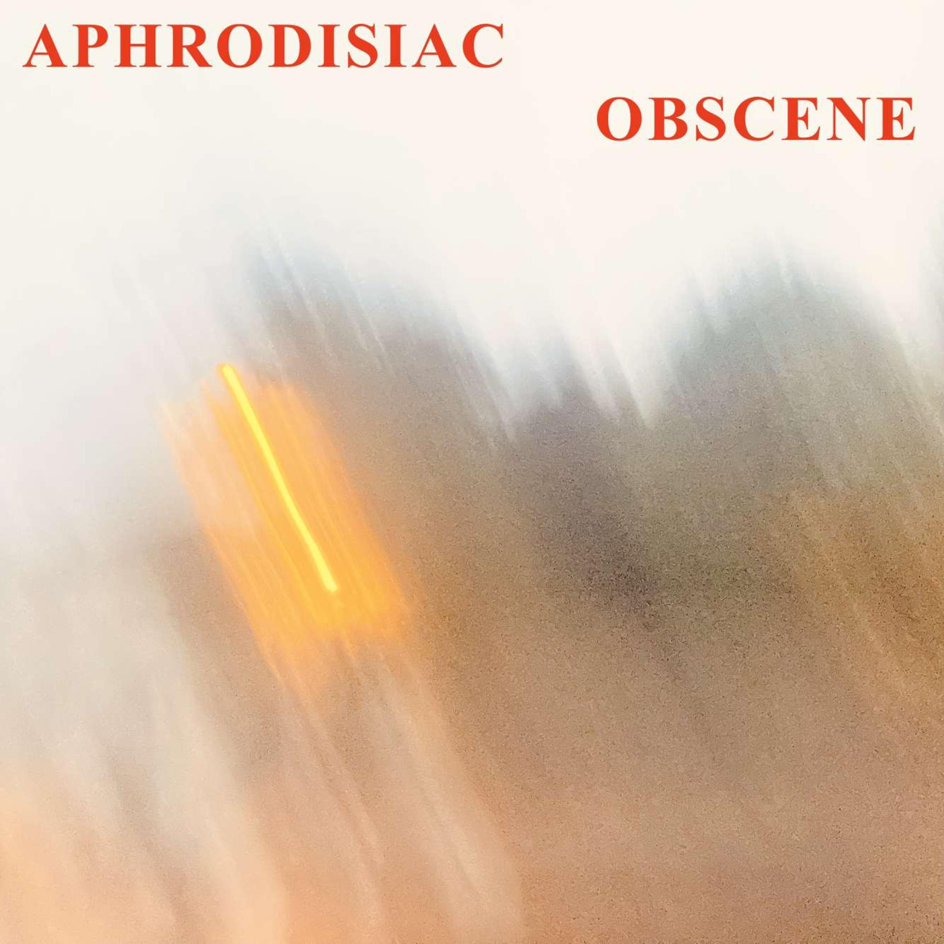 Obscene