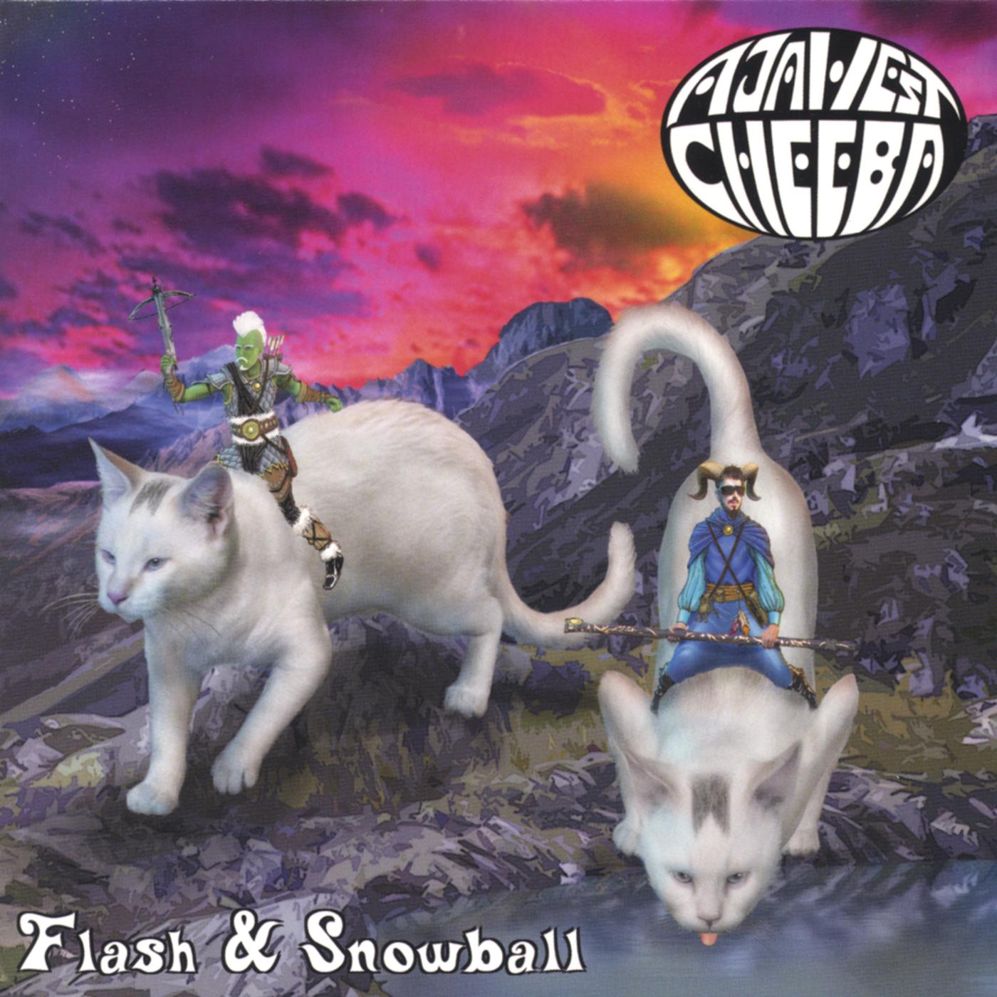 Flash & Snowball