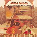 Fulfillingness' First Finale专辑