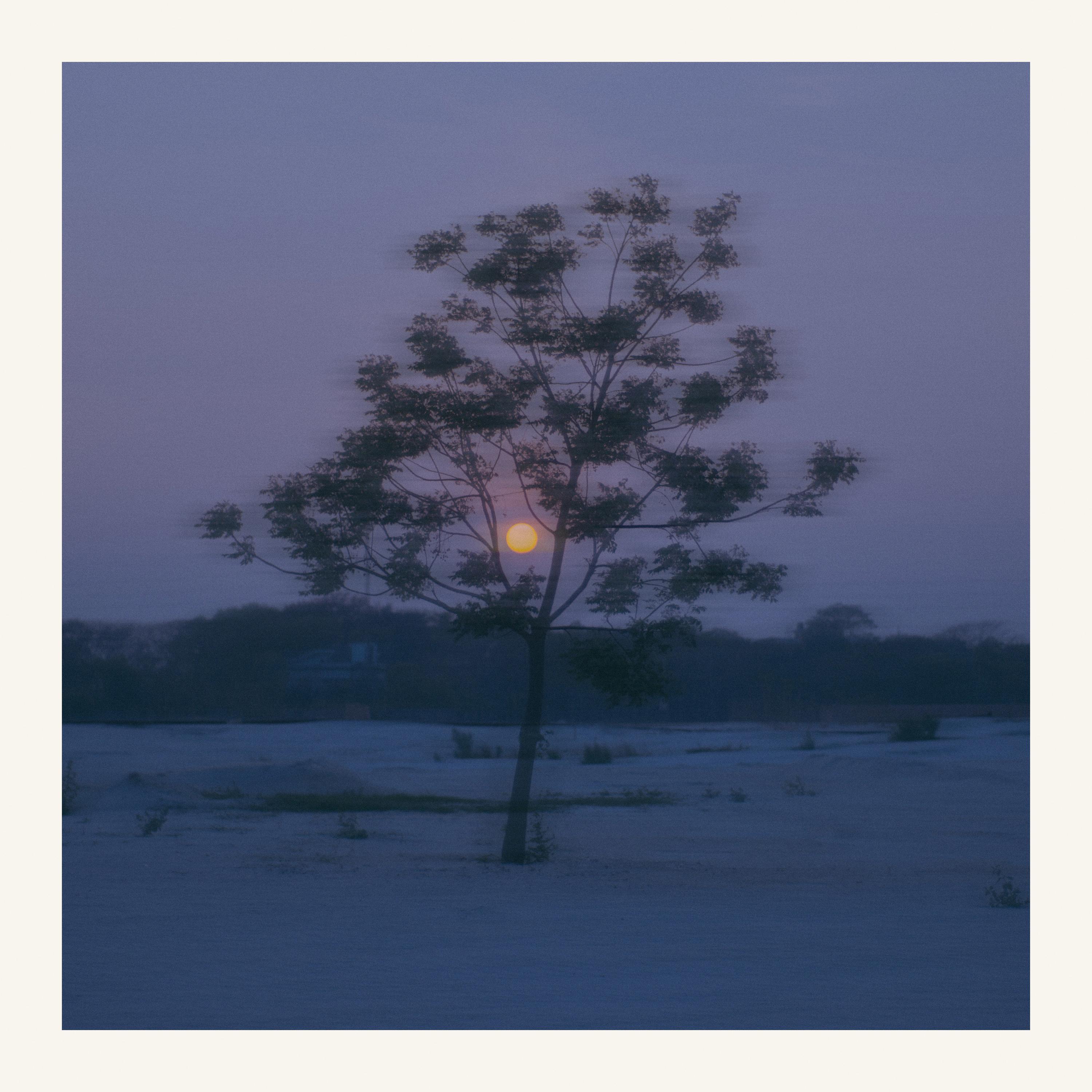 Traces (Rework)