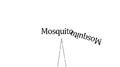 Mosquito专辑