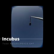 Incubus专辑