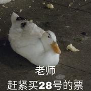 谁还没买28号西安专场的票