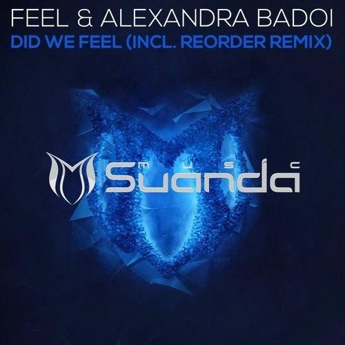 Did We Feel (ReOrder Remix)