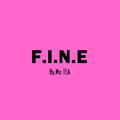 F.I.N.E