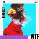 WTF!Skurt？（DJ Argine mashup）专辑