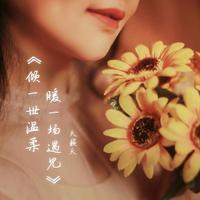 天籁天、刘阳 - 情醉芙蓉凰 (伴奏).mp3