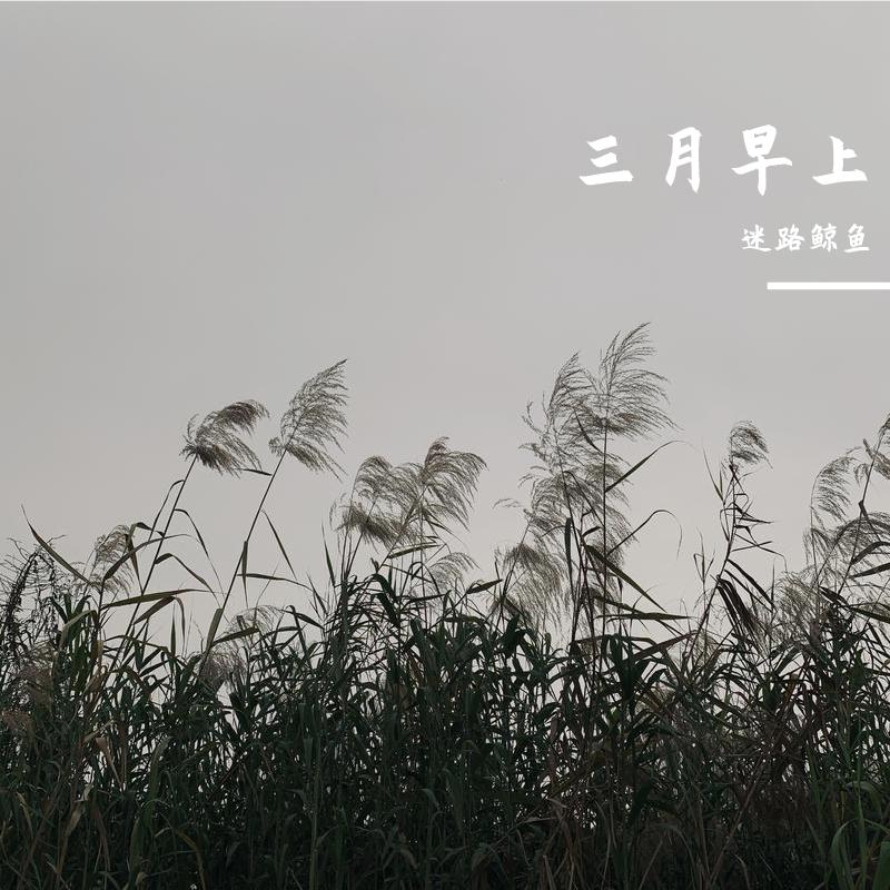 三月早上