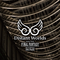 Distant Worlds music from FINAL FANTASY Returning home专辑