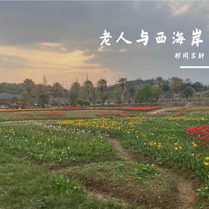 老人与西海岸
