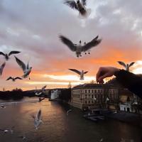 Zedd, Alessia Cara - Stay Vs. 24k Magic [Blendkingz Mashup] [Clean] [10's, Electronic, Dance]