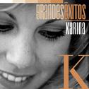 Grandes Éxitos: Karina专辑