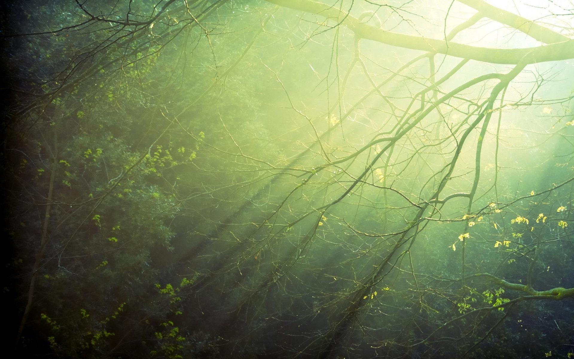 Tobu—Sunburst(Azricle Remake)（Cover Tobu）