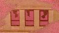 RARA专辑
