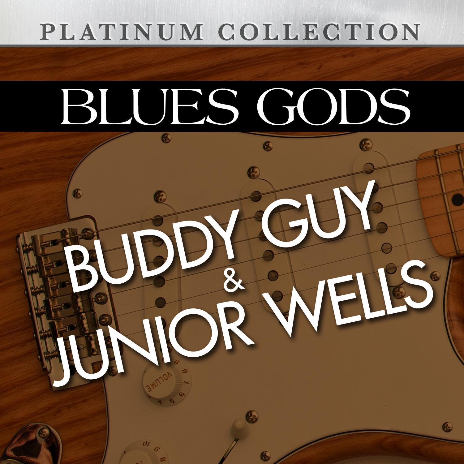 Blues Gods: Buddy Guy & Junior Wells专辑