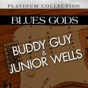 Blues Gods: Buddy Guy & Junior Wells专辑