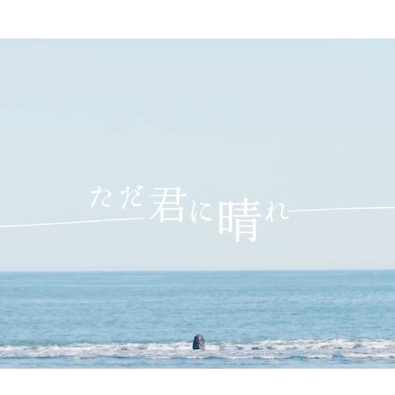 只给予你的晴天