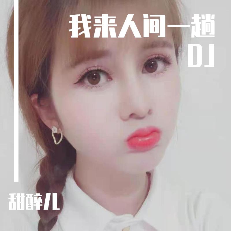 甜醉儿-我来人间一趟.flac