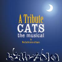 Jellicle Ball - Cats (karaoke)